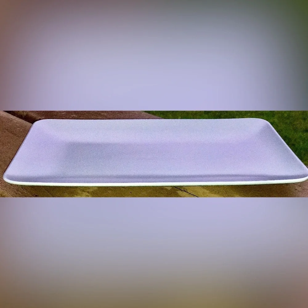 Discontinued Dinera Gray Fargrik IKEA of SWEDEN Rectangular Dinner Plate